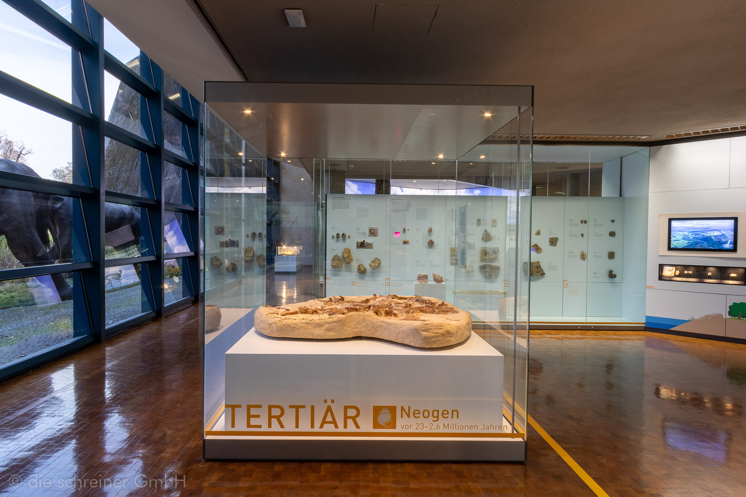 Naturkundemuseum Stuttgart