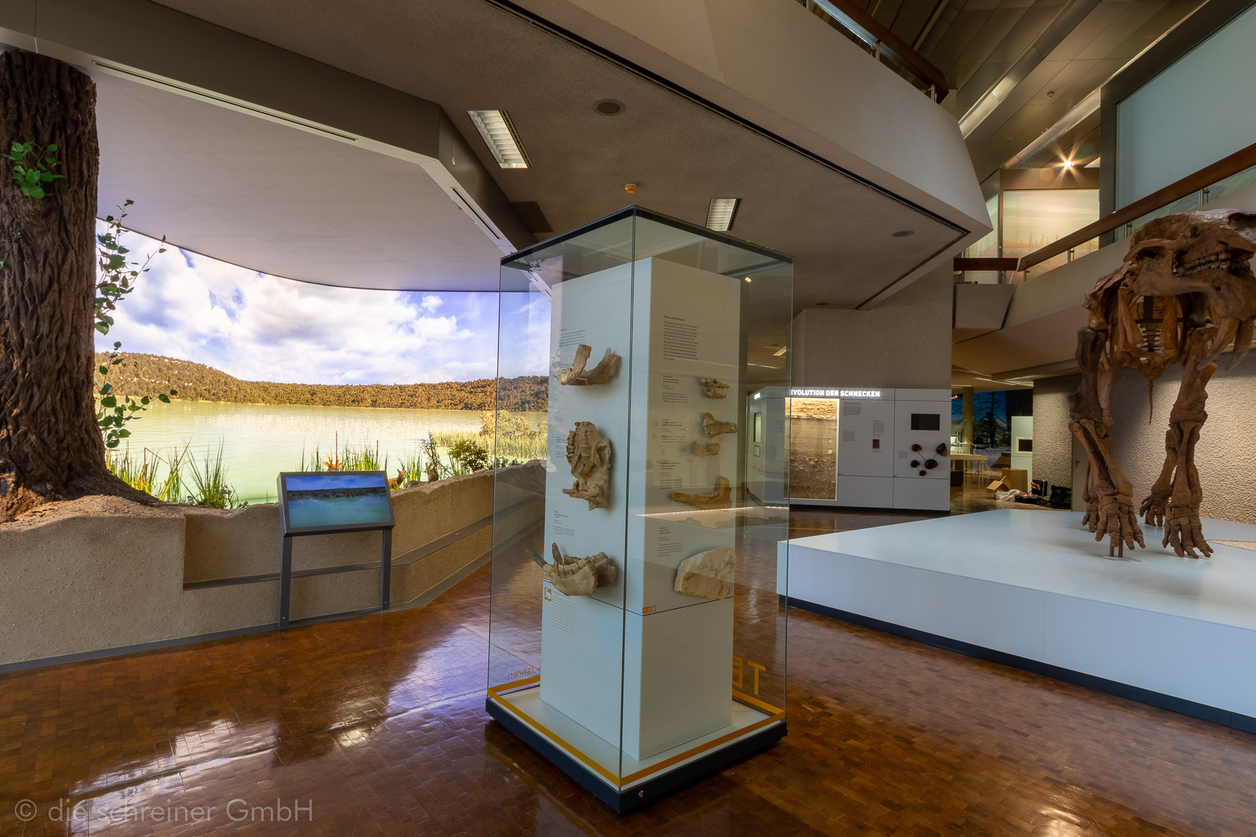 Naturkundemuseum Stuttgart