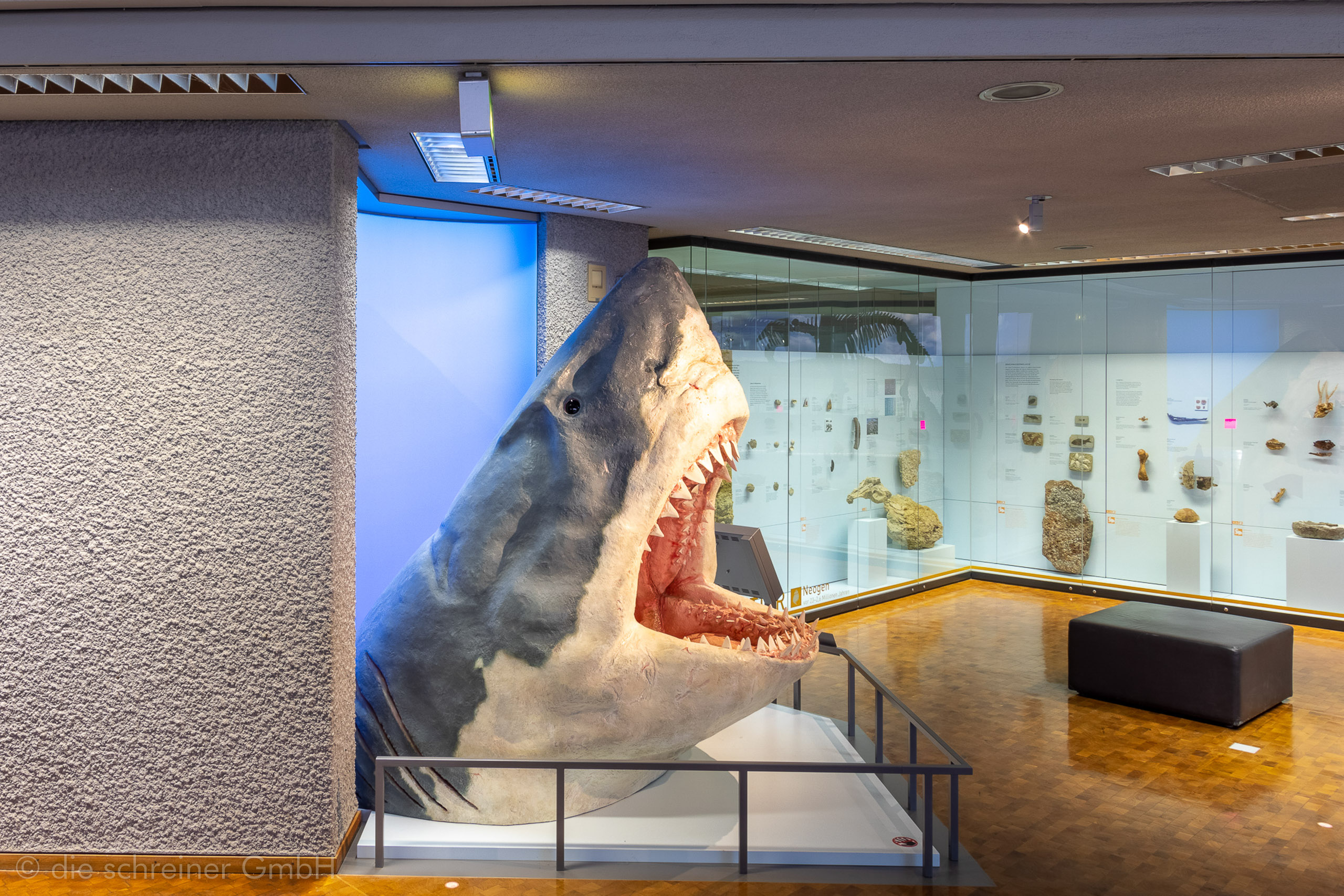 Naturkundemuseum Stuttgart