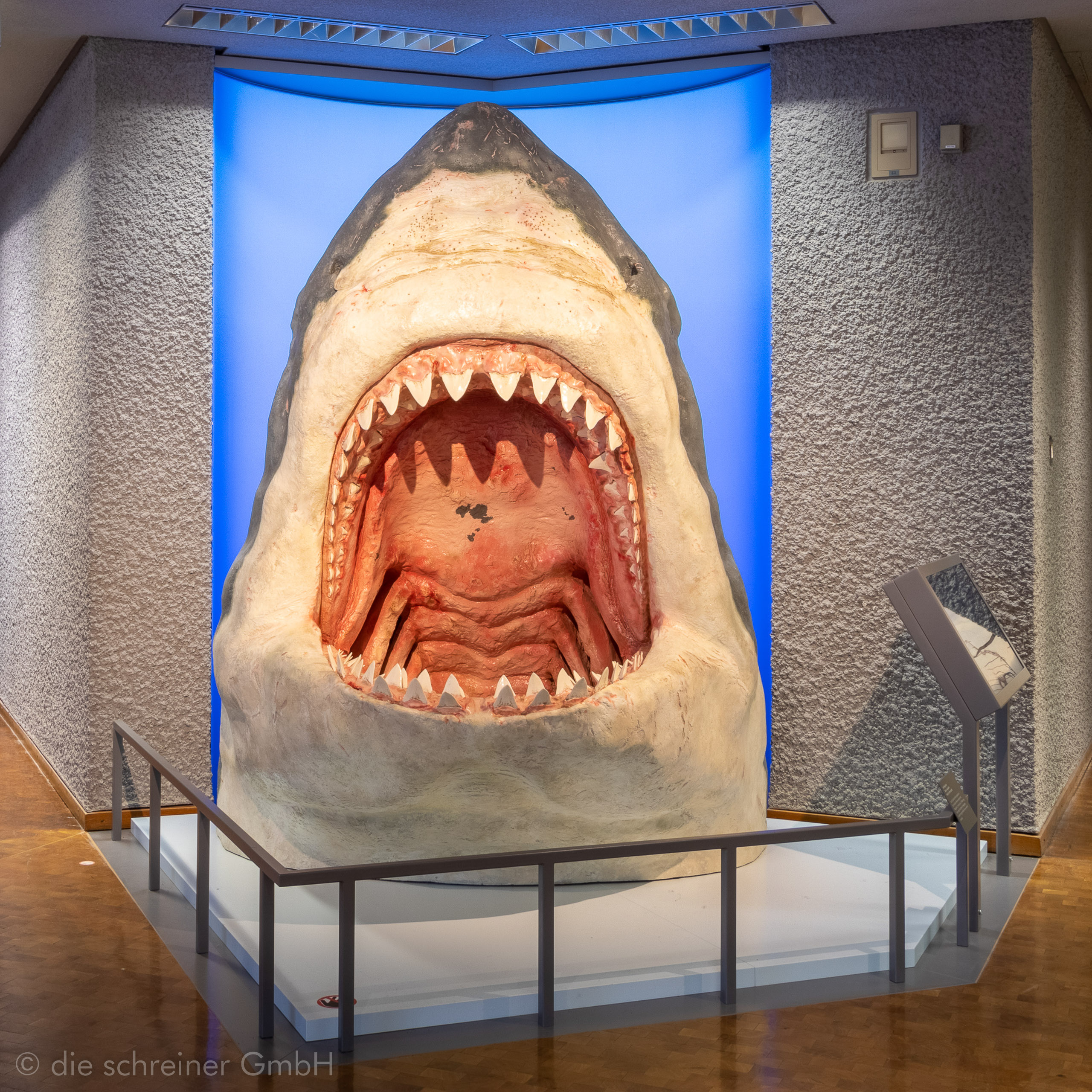 Naturkundemuseum Stuttgart