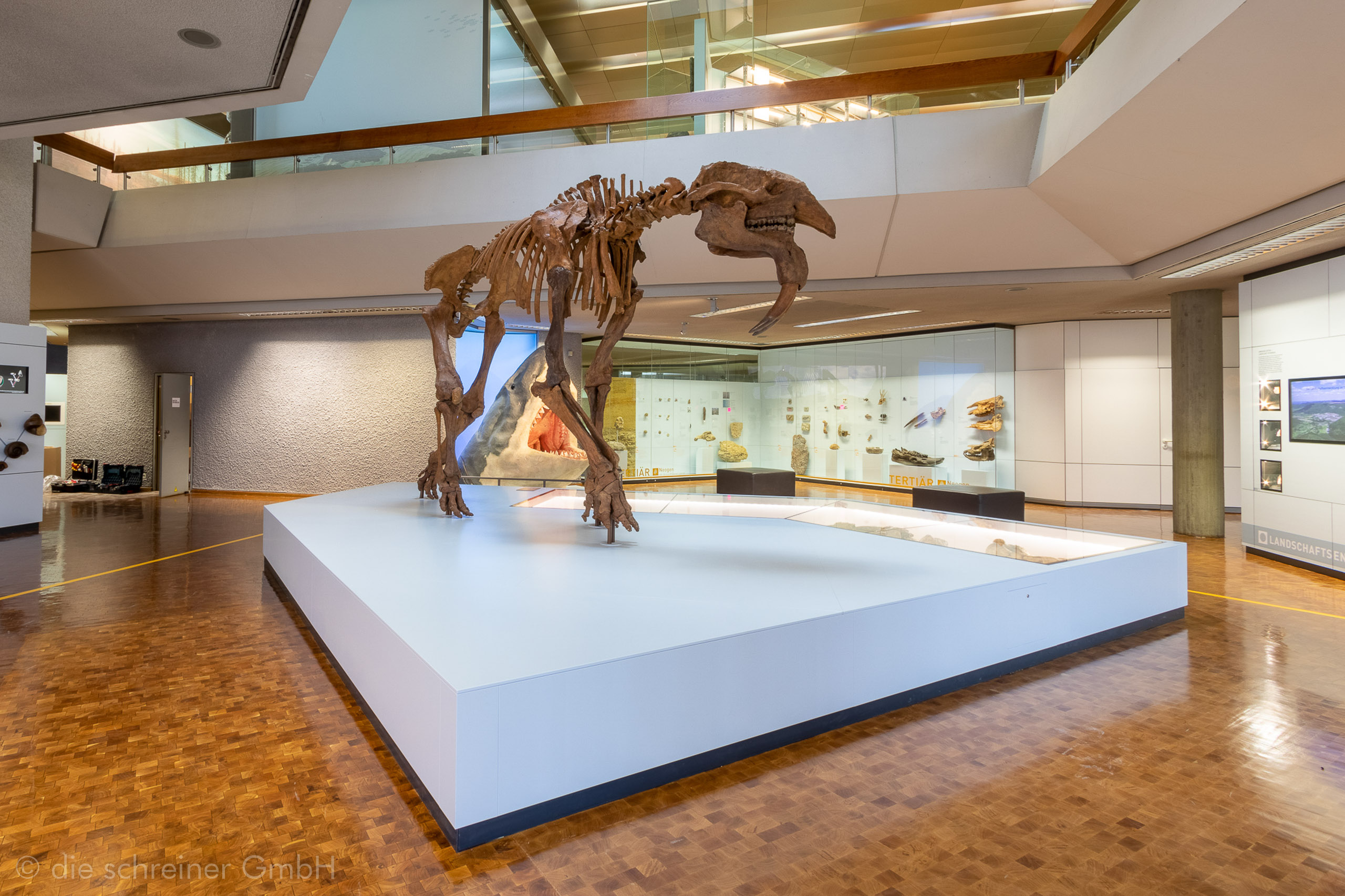 Naturkundemuseum Stuttgart